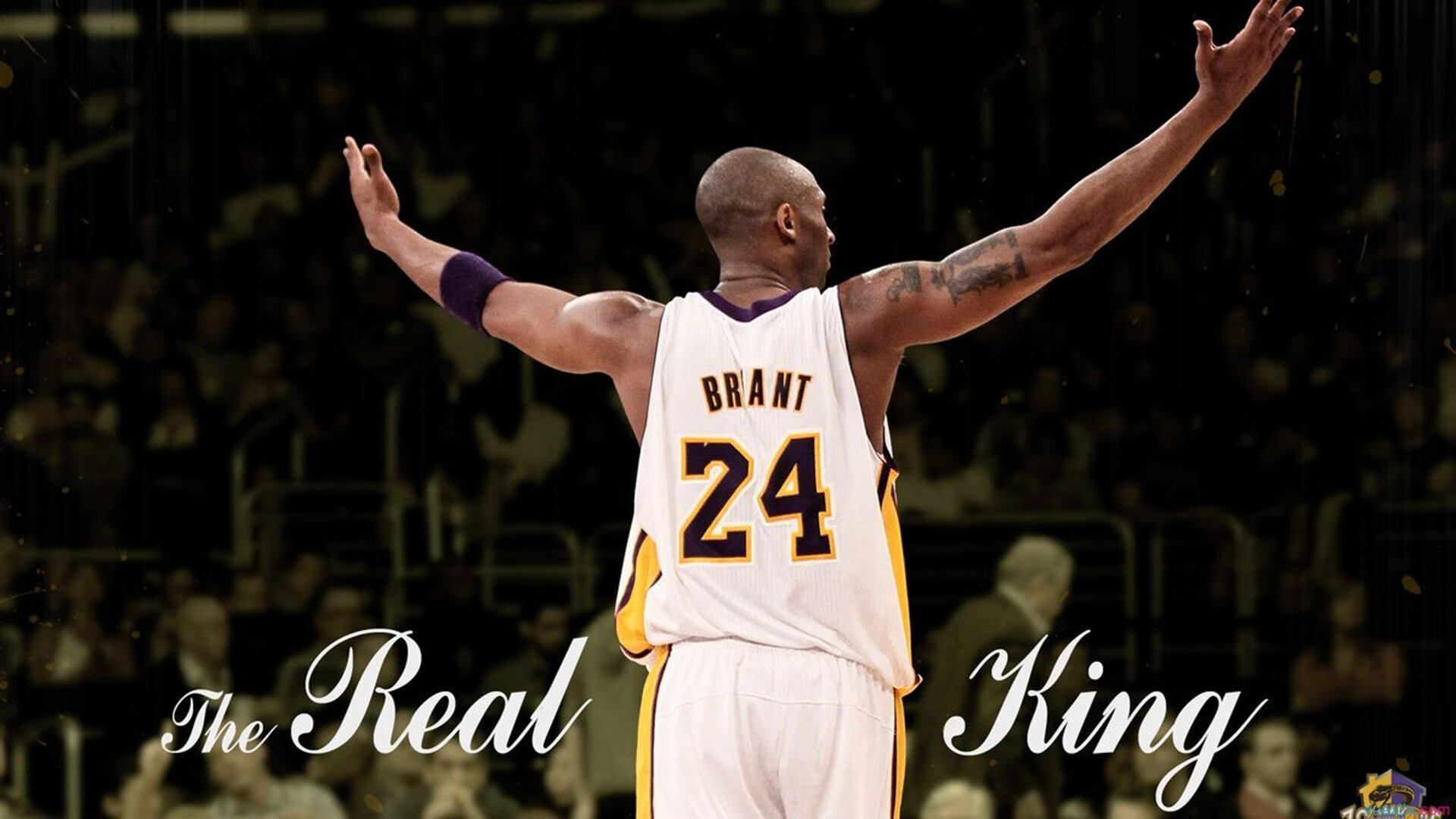 AYX体育-未来之星计划，青少年篮球培养新模式，未来星篮球培训