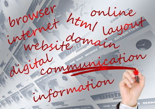 爱体育娱乐入口-NBA球队品牌建设及粉丝忠诚度培养研究,nba球员粉丝数排名