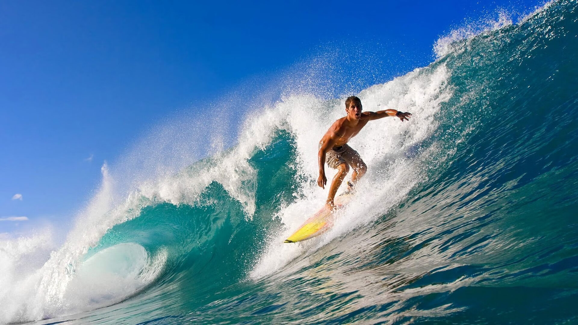 爱游戏登录入口-体育新闻中心主办体育文化数字创新研讨会，数字体育项目